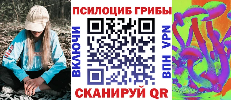 Галлюциногенные грибы ЛСД  Шахунья 