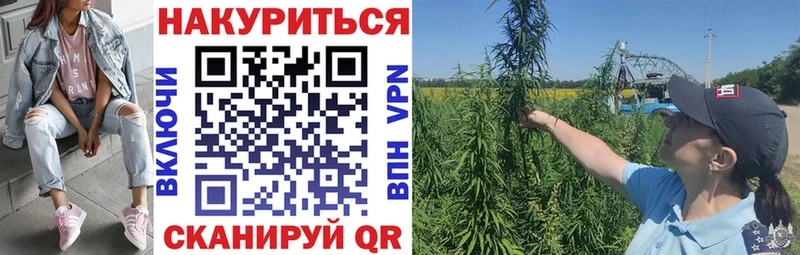 Бошки марихуана гибрид  где найти наркотики  Шахунья 